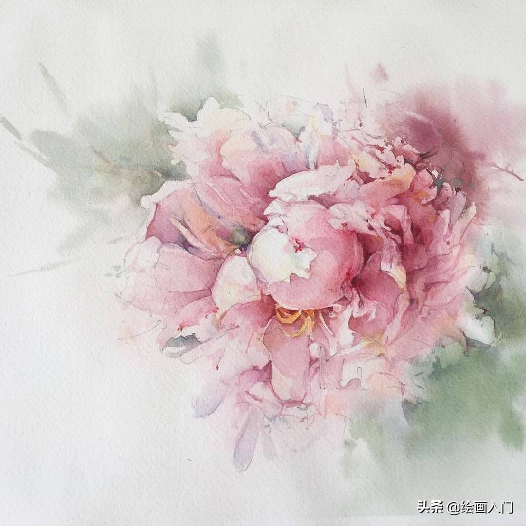 唯美写意水彩花卉,各种水彩花卉的表现技法学习吧