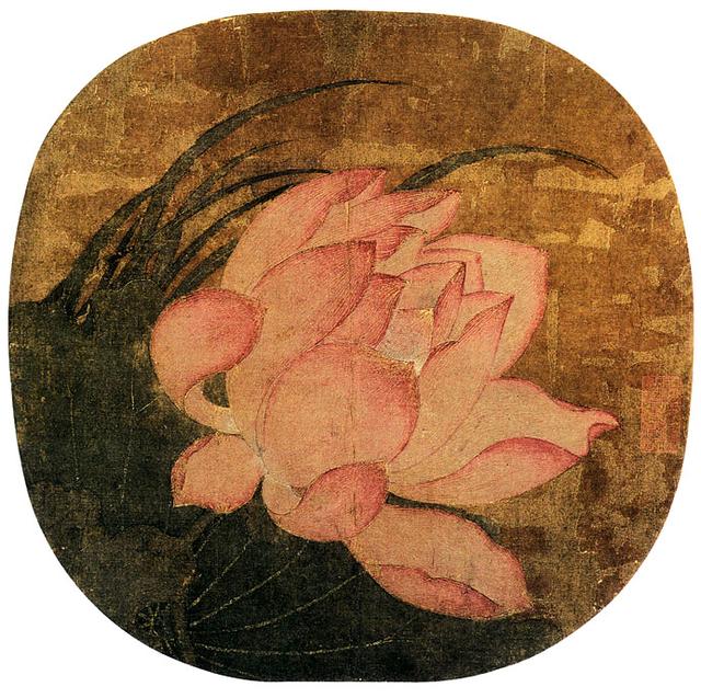 「转」这么美的荷花，千年荷韵