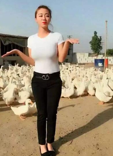 农村十大新型养殖业,农村现在养殖业什么前景好