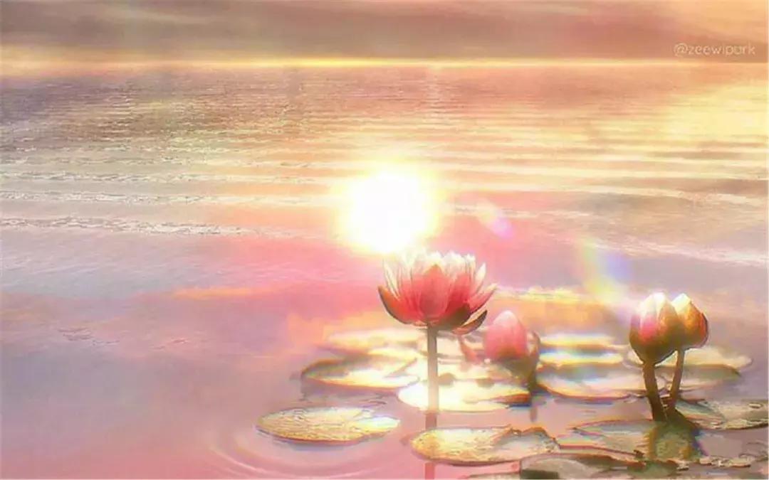 卡尔荣格说,卡尔荣格人生四个阶段