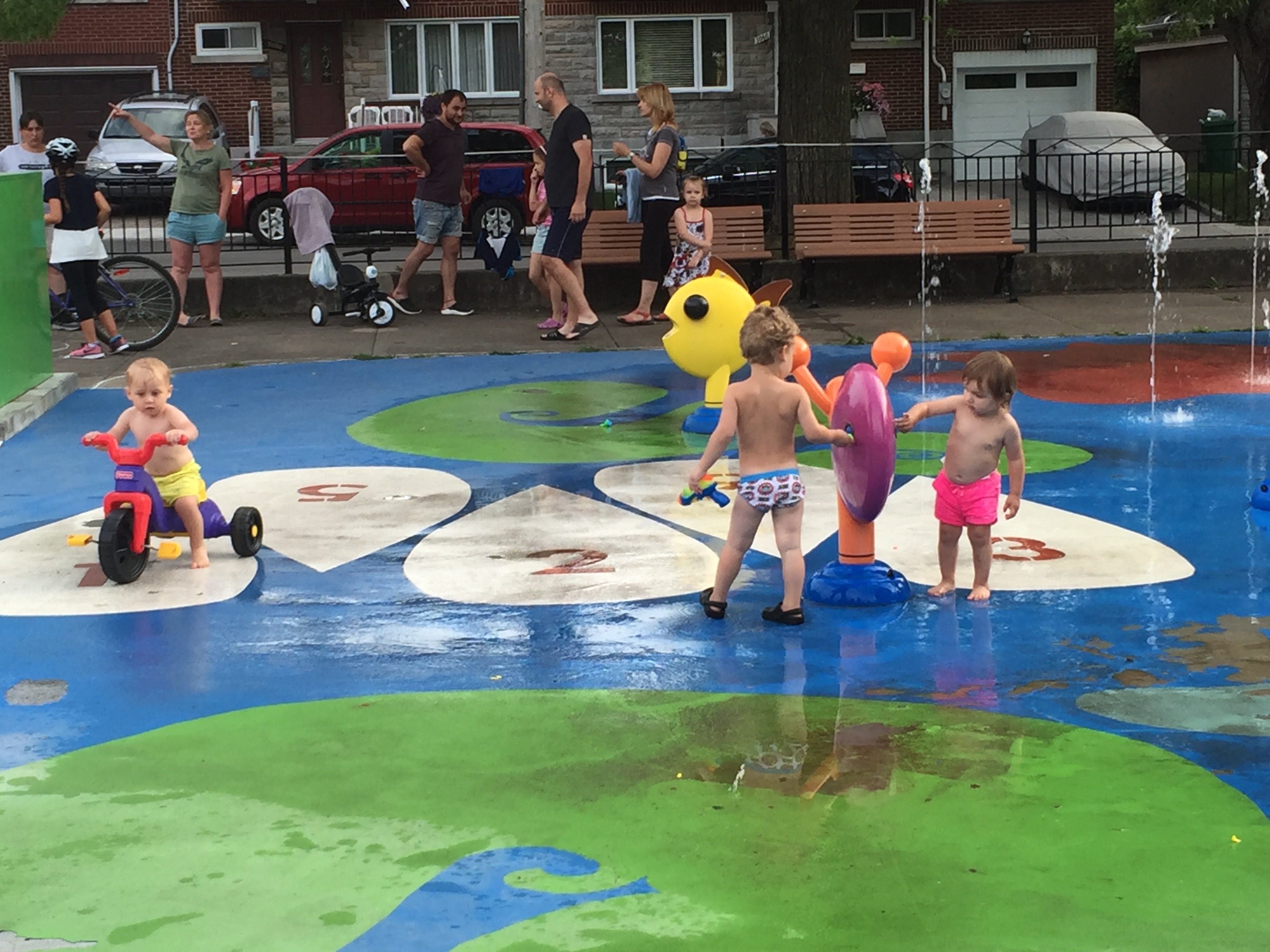 加拿大签证疑难问题集锦,加拿大签证在线递签教程