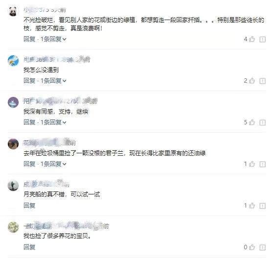 养花让生活更美好结尾要怎么写,养花让生活更美好