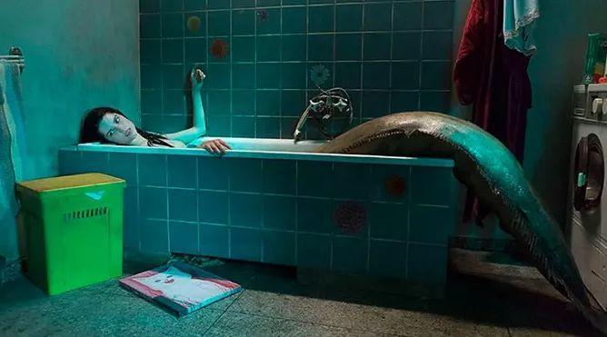 2019纭洏鎺ㄨ崘,2019纭洏鎺ㄨ崘1t