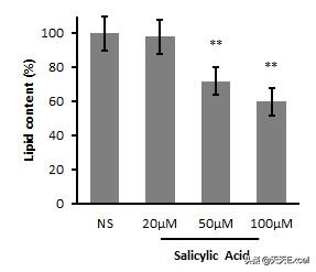 怎么让excel恢复到默认设置,excel无法设置成默认打开方式