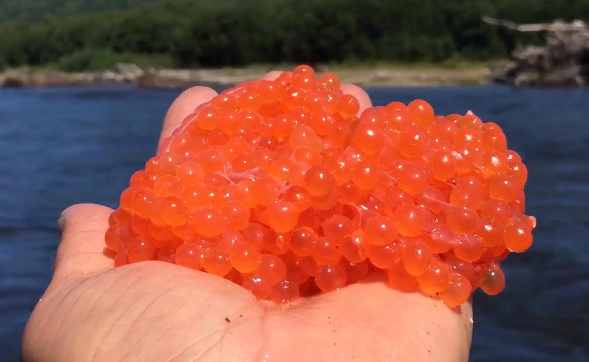 十年前,我只带了一根鱼竿出门,吃遍了世界上的各种顶级海鲜