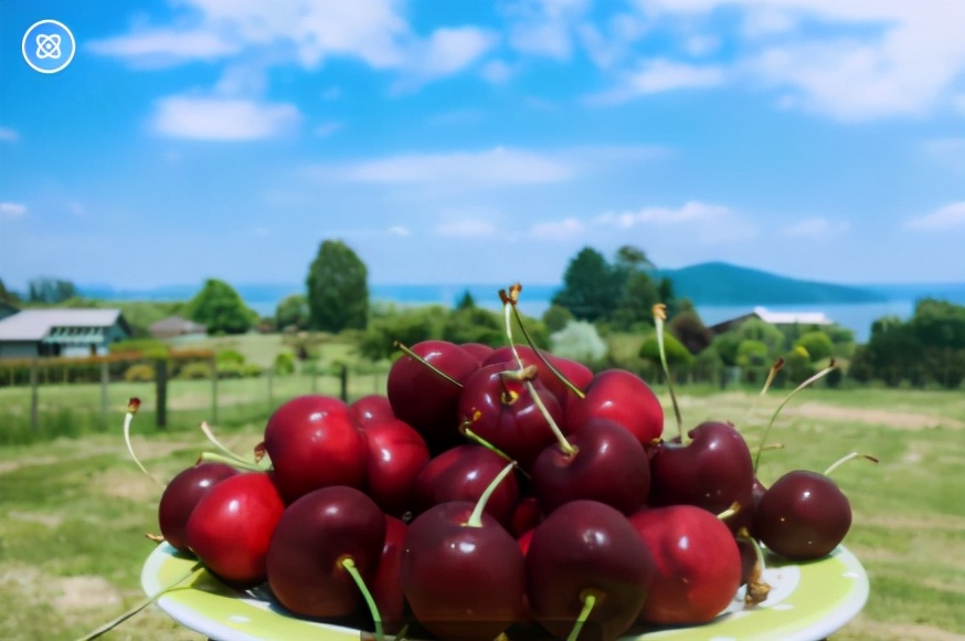 樱桃上市哪种最好吃,正在上市的樱桃品种