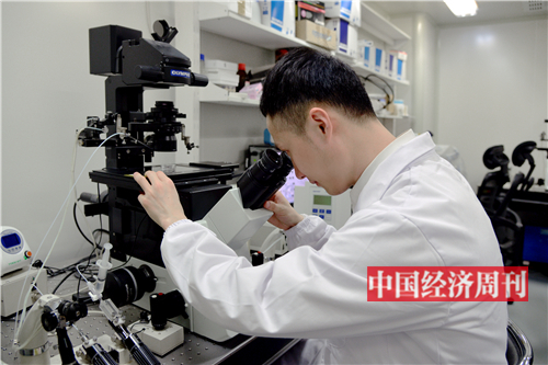 克隆狗多少钱一只啊,克隆犬值得买吗