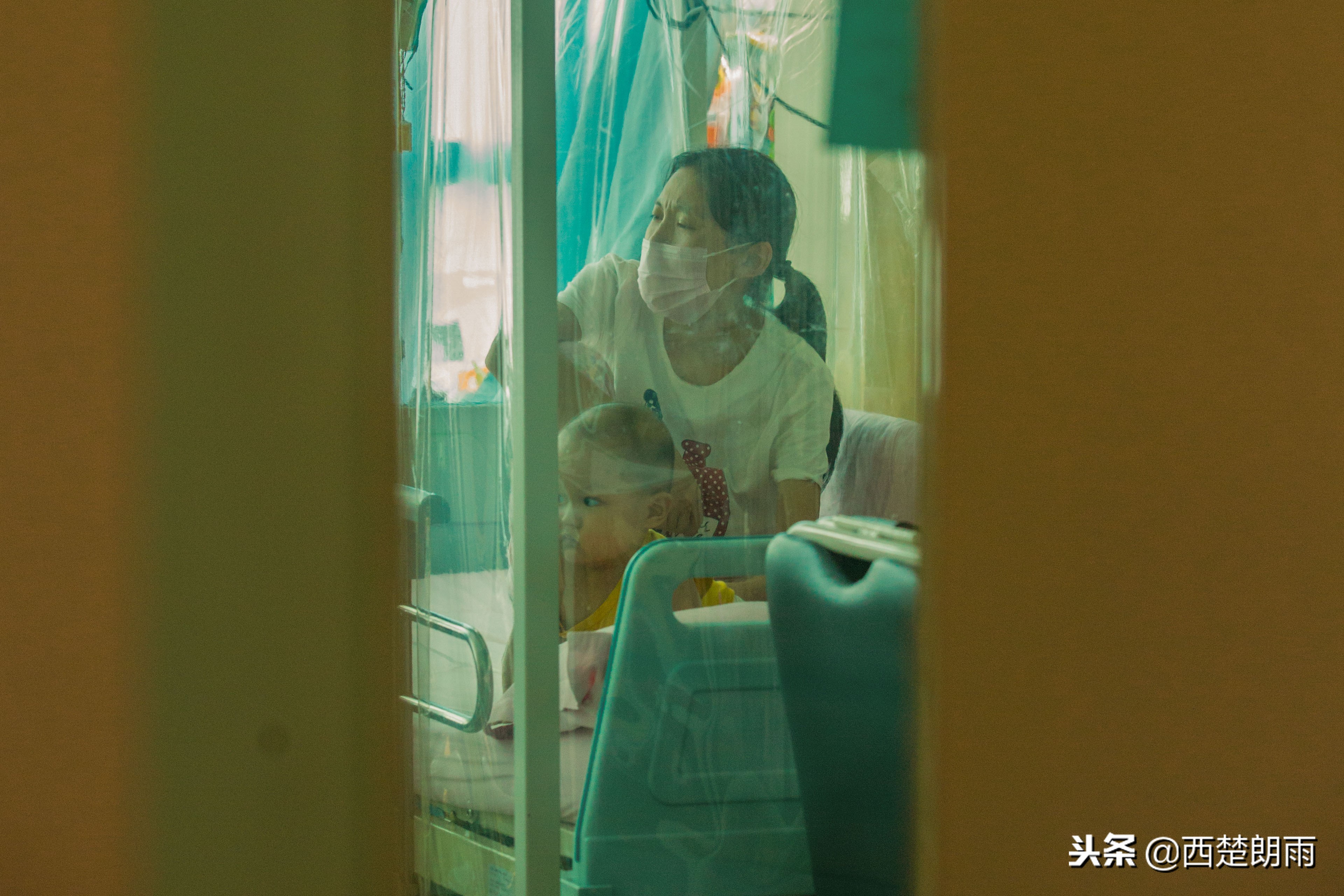 老人双手磨破捉虫想“救”血癌孙被儿子泪拒,跪求老天放过孩子