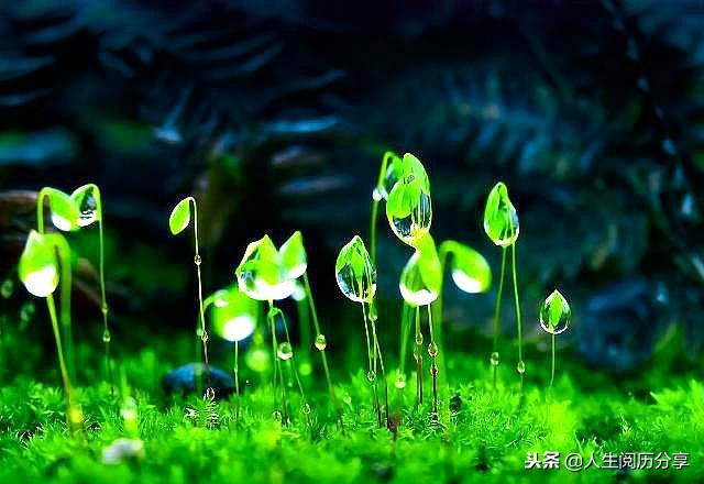 美睫完成发朋友圈吸引人的说说,女人正能量发圈吸引人的短句说说