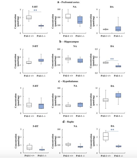 改善认知功能障碍抗抑郁药,新型治疗抑郁症药对比