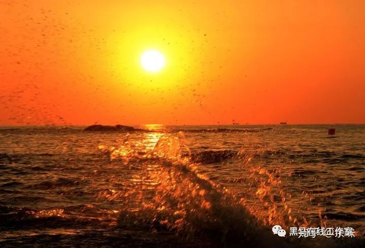 普通人怎么抓住风口呢,普通人怎么找到风口