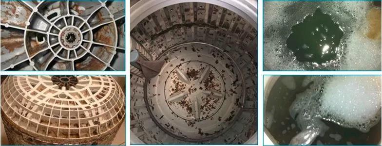 长时间不清洗的洗衣机有什么细菌,为什么放进洗衣机的衣服有霉菌