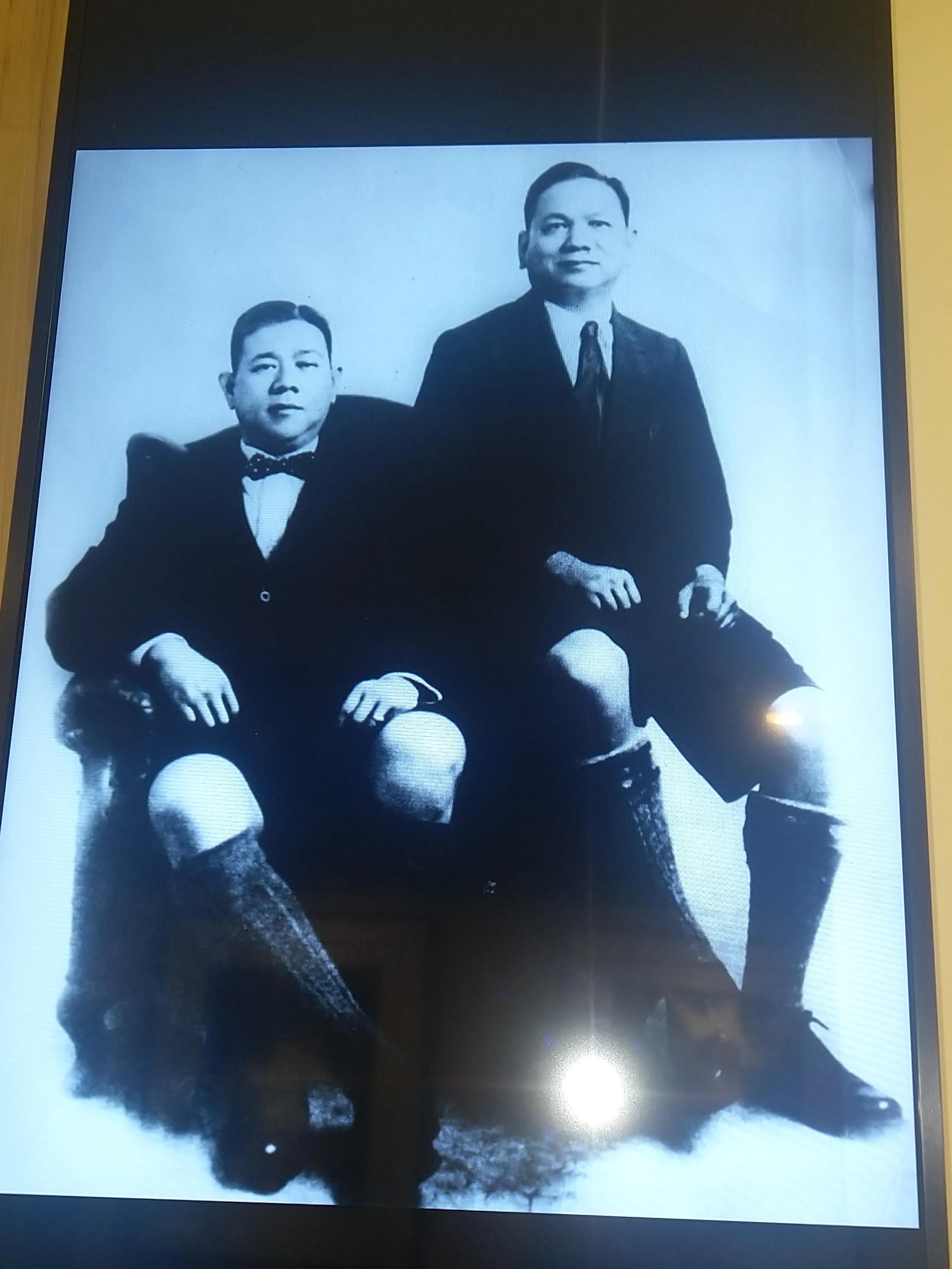 港岛虎豹别墅,香港虎豹别墅全景图