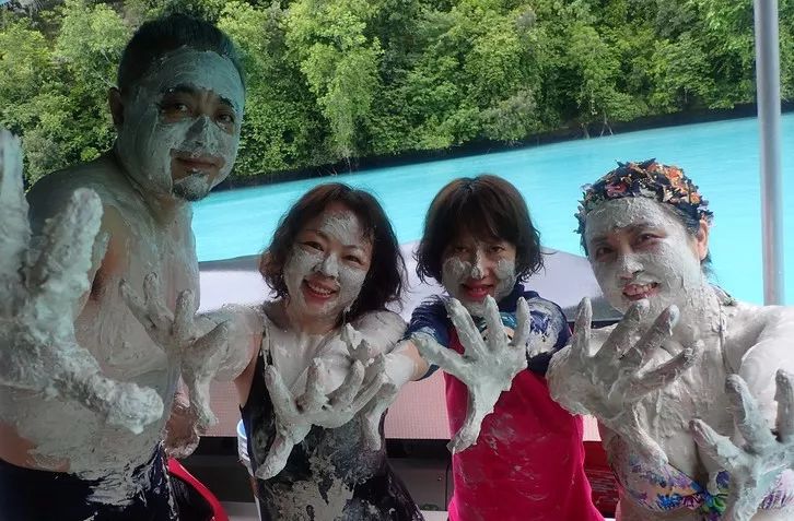 帕劳金色水母,帕劳水母旅行