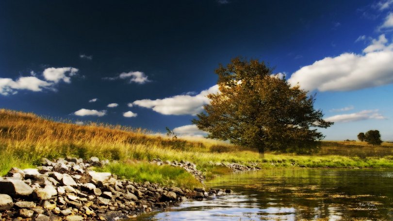 四书五经里能起的女孩名字有哪些,在四书五经中给孩子取名