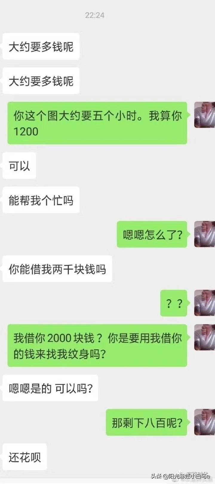 楼下的猫又开始叫了,楼下的猫一直在嗷嗷叫