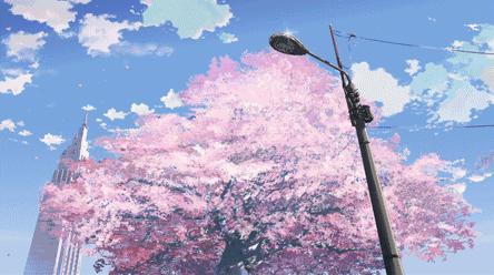 斩男香和斩女香的区别,斩男香斩女香真的有用嘛