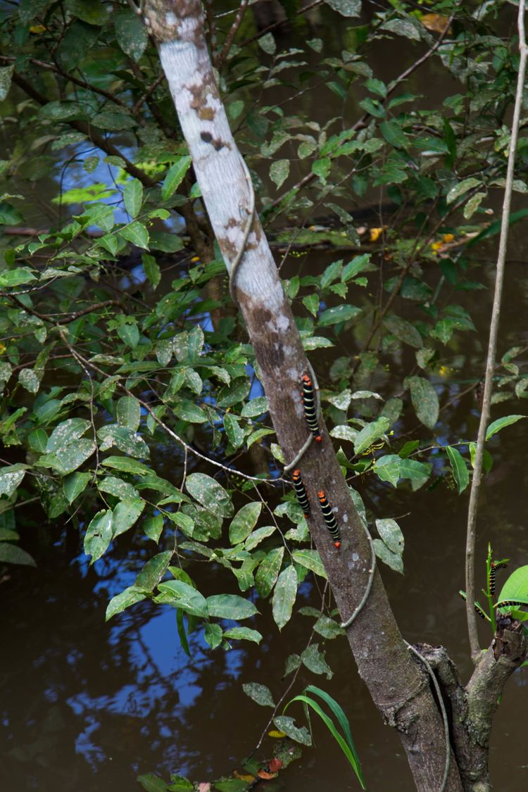 南美之旅总结篇,南美之行结束感悟