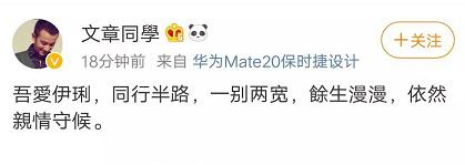 文章马伊琍离婚盘点俩人感情之路,文章马伊琍离婚第几集