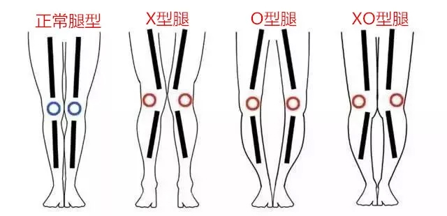 毛呢大衣不加绒,长款双面羊绒大衣怎么搭配好看