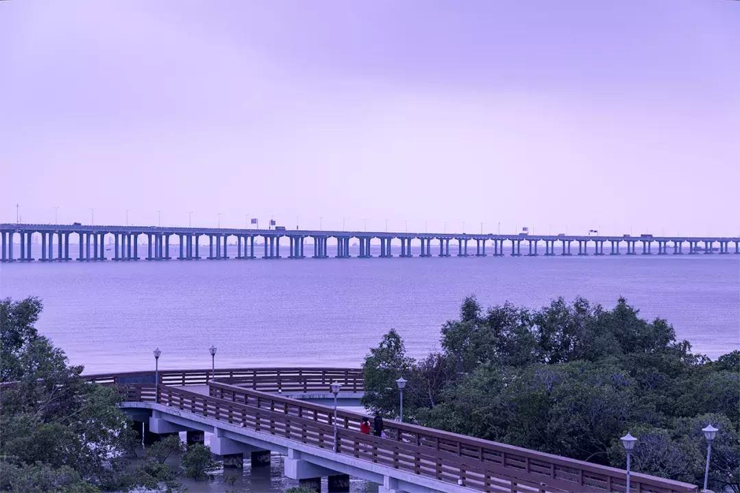 深圳十大一日游景点,深圳十大免费公园景点大全
