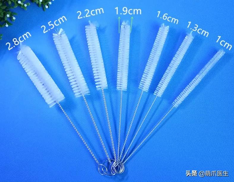 用了五年的饮水机,用了饮水机猫咪喝水量增多