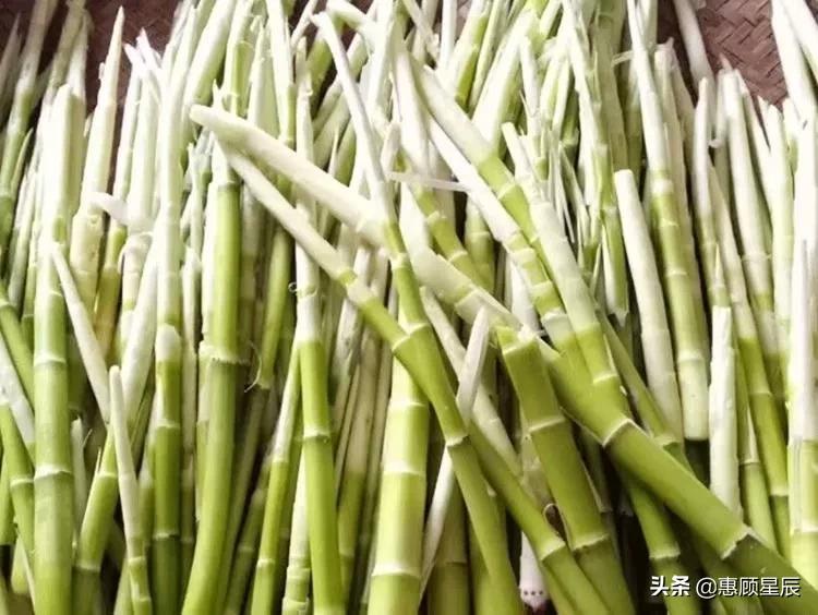 春天必吃的笋给你3点尝鲜建议,春天莴笋怎样保存