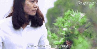 她31岁放弃北漂,回归自然,用枯枝败叶,打造了一个梦幻森林