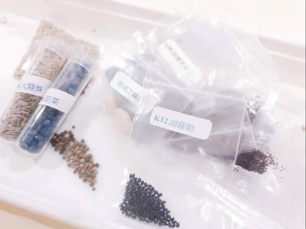 紫苏叶怎么买 (哪些地方可以买紫苏叶)