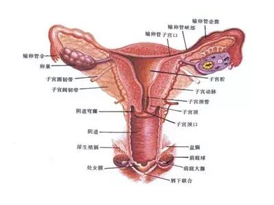 妇科炎症对宝宝有影响么,妇科炎症怎么办才能彻底消除