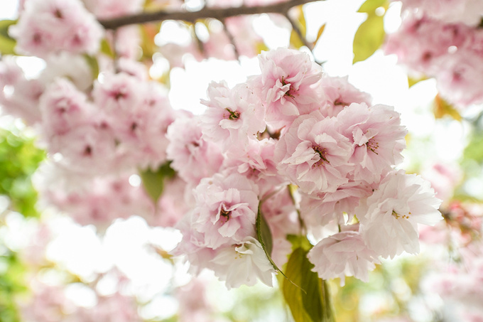太行山之美巍峨壮丽,太行山最美的免费风景在哪里