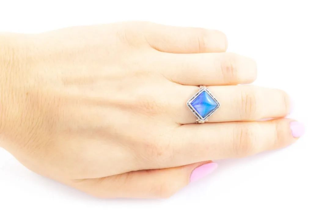 蝴蝶可以做什么产品,蝴蝶也可以做成艺术工艺品