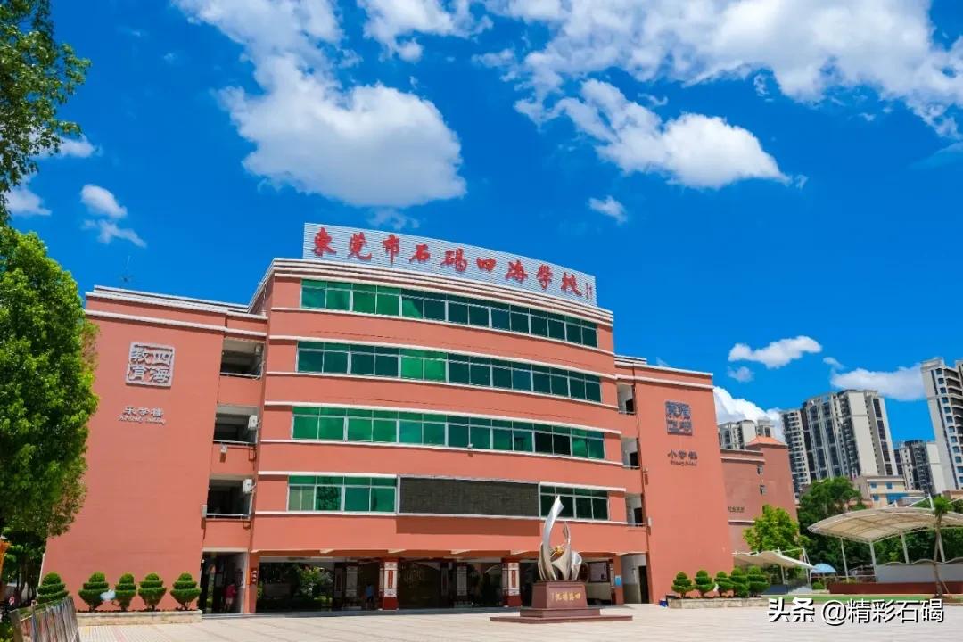 石碣四海学校排名,石碣四海小学招生简章