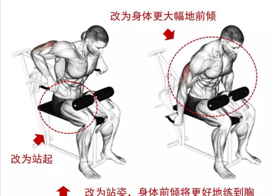 怎么样胸练到位了,如何练好胸型