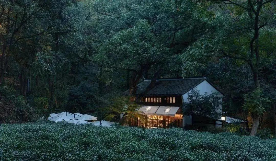 江浙沪8大五星级度假酒店任选,杭州度假高端酒店推荐