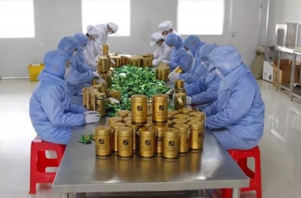 相貌平平却有优点的植物,长相丑但是有营养的植物