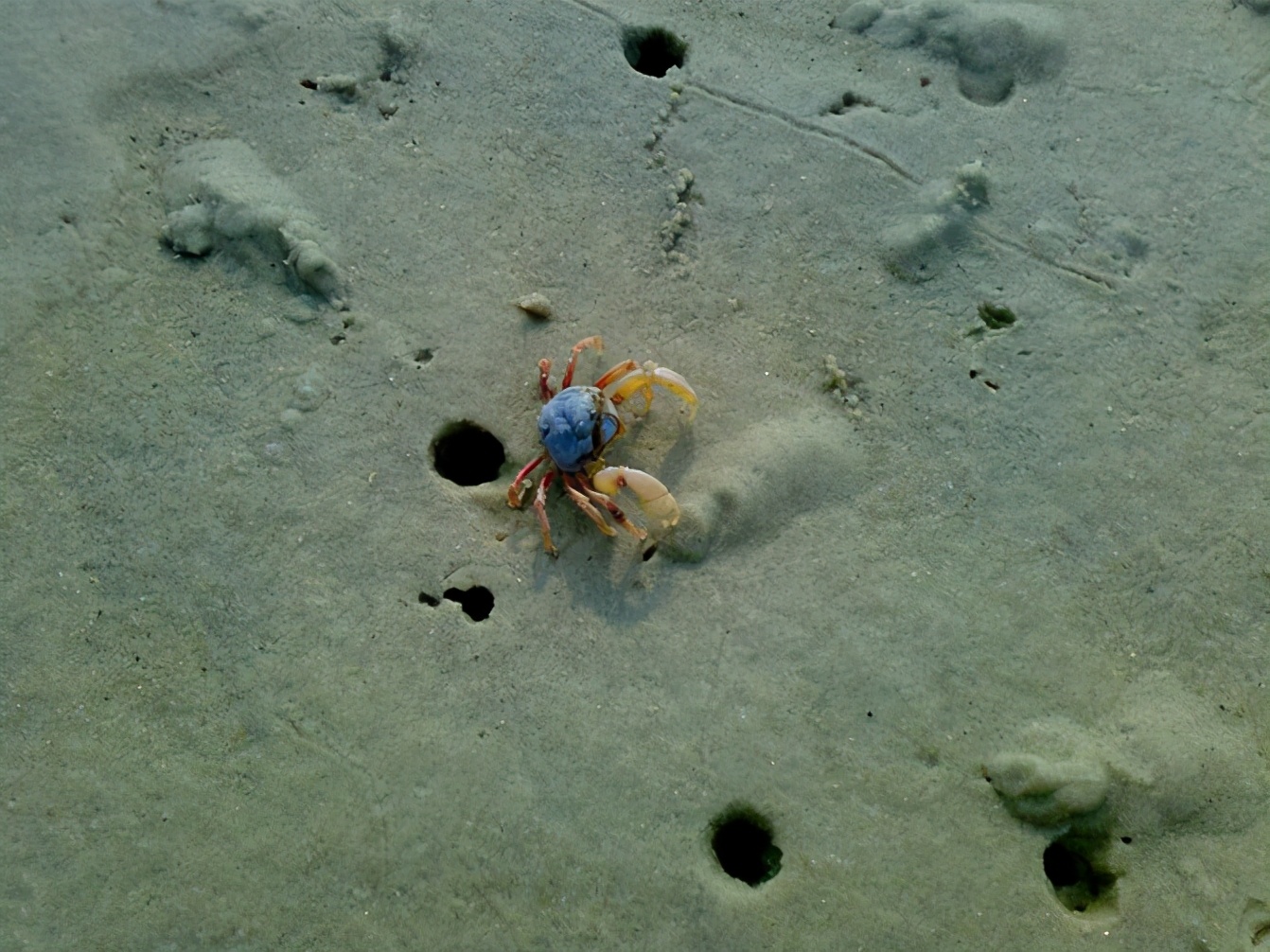 2021年北海旅游攻略,未来5年北海旅游攻略图