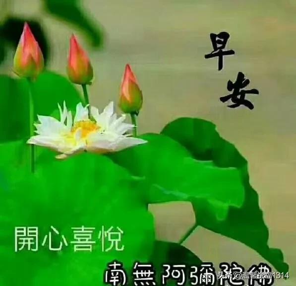 小溪幸福慢慢淌，晨风轻叩美窗棂，催你早起迎朝阳！祝你心情灿烂