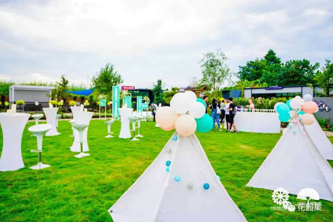 鑺卞洯鐩涘涔愯嚦,鑺卞洯鐩涘瀹屾暣