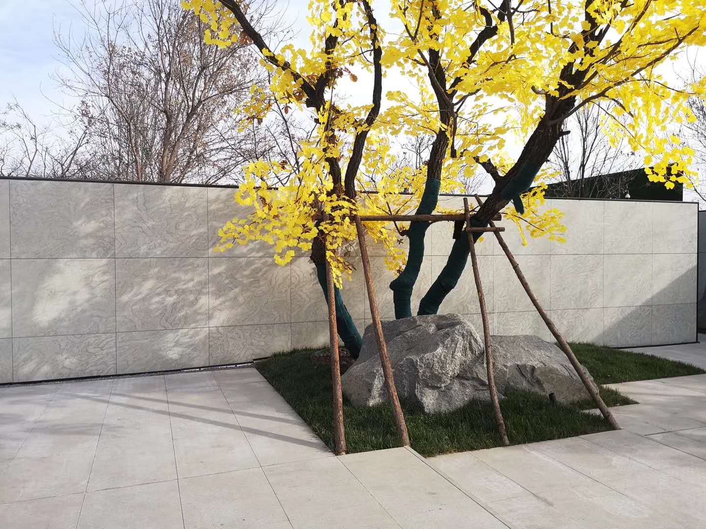 学习一刻!景观材料提升篇——新型石灰岩与常用木材种类!