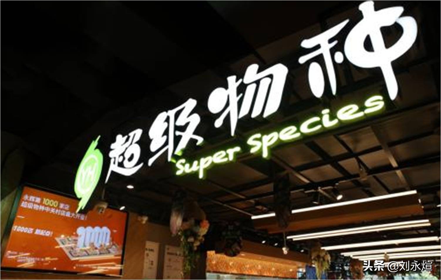 物美进驻麦德龙,物美和麦德龙现状