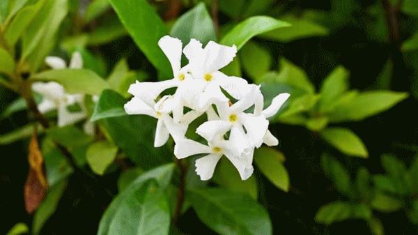 走!出发去犍为!