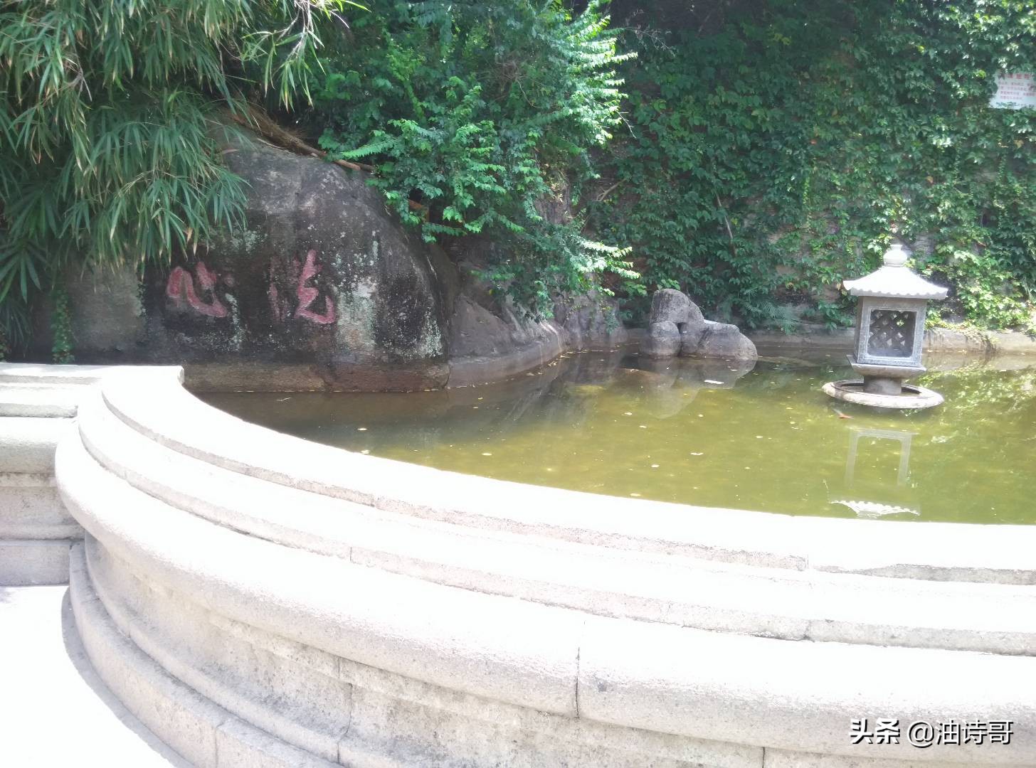 缘起五缘湾,那个爱钓鱼的懵懂少年