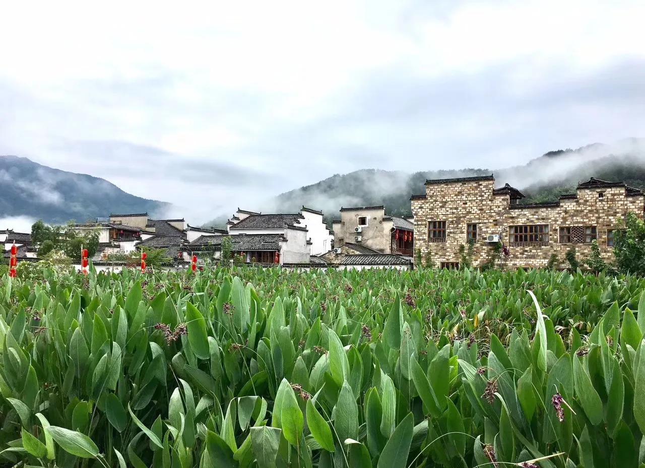 大美徽州宏村,世界最佳旅游乡村安徽宏村