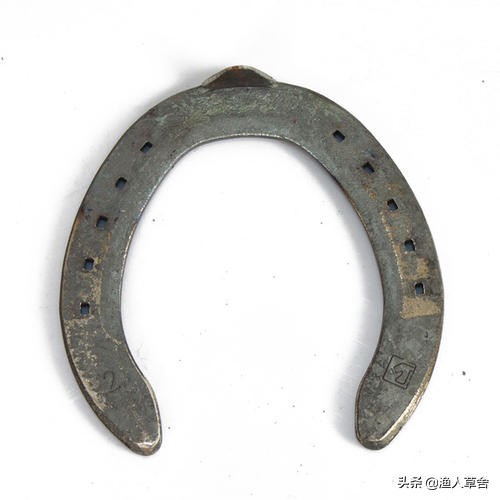 给马蹄钉蹄铁真的不疼吗,给马蹄钉钉子痛不痛