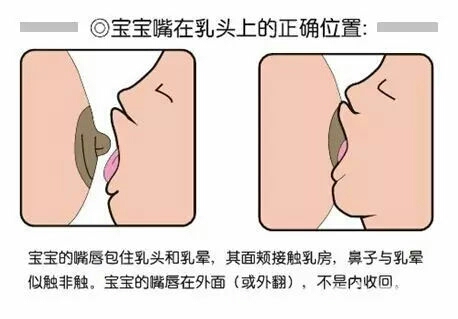 俏管家教学视频,俏管家家政简介