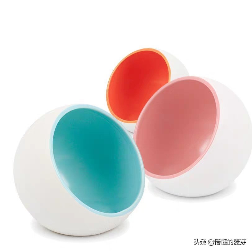 龙猫训练方法和注意事项,龙猫要准备哪些用品