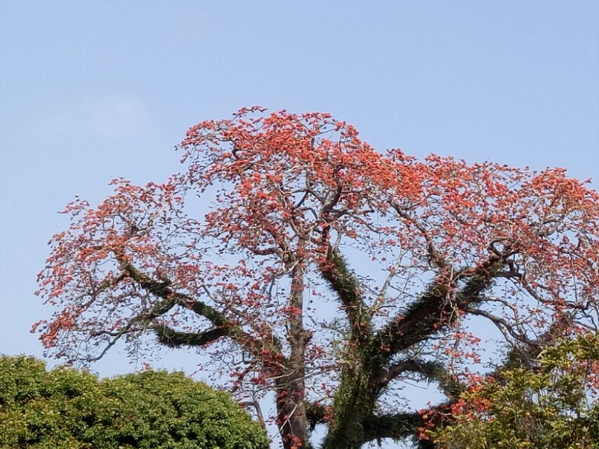 肠息肉发展为肠癌大约多久,肠息肉到肠癌要经过几个阶段