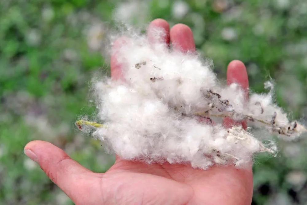 记住这十个小技巧,记住这三招没人敢欺负你