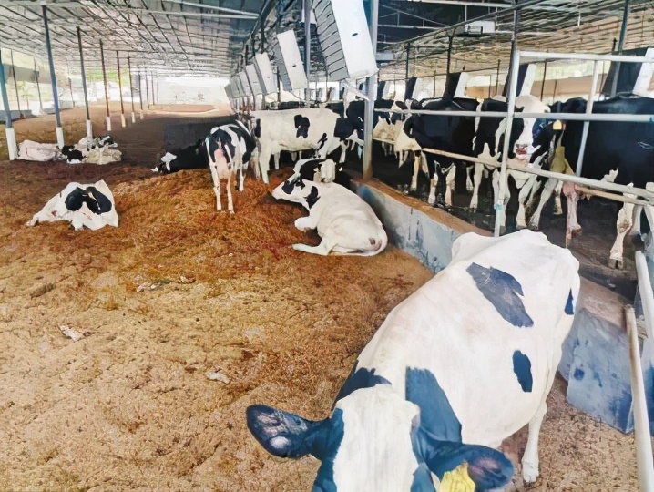 畜禽粪污处理意义,畜禽粪污资源化利用集中处理中心